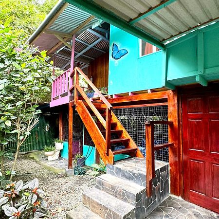 Hidden Jungle Beach House Puerto Viejo de Talamanca Eksteriør billede
