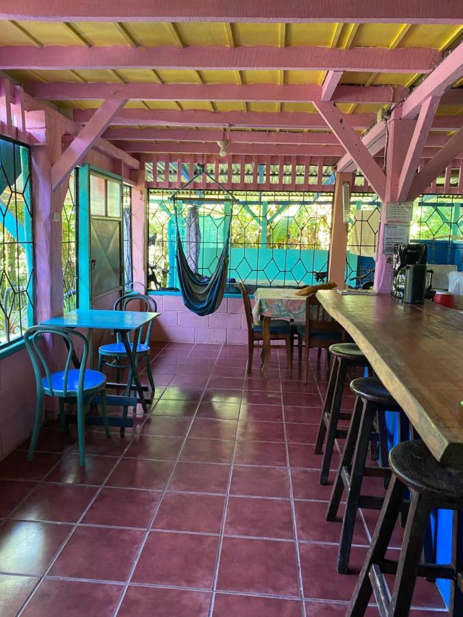 Hidden Jungle Beach House Puerto Viejo de Talamanca Eksteriør billede