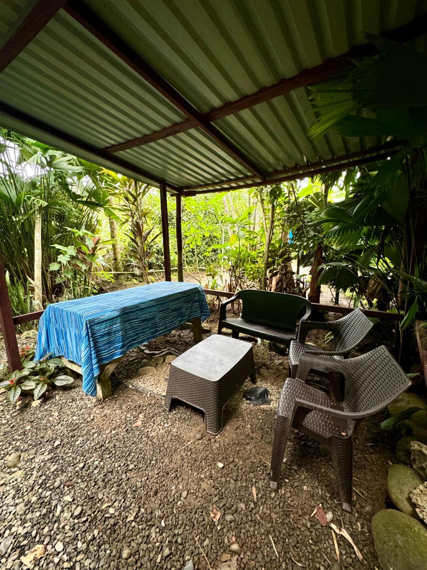 Hidden Jungle Beach House Puerto Viejo de Talamanca Eksteriør billede