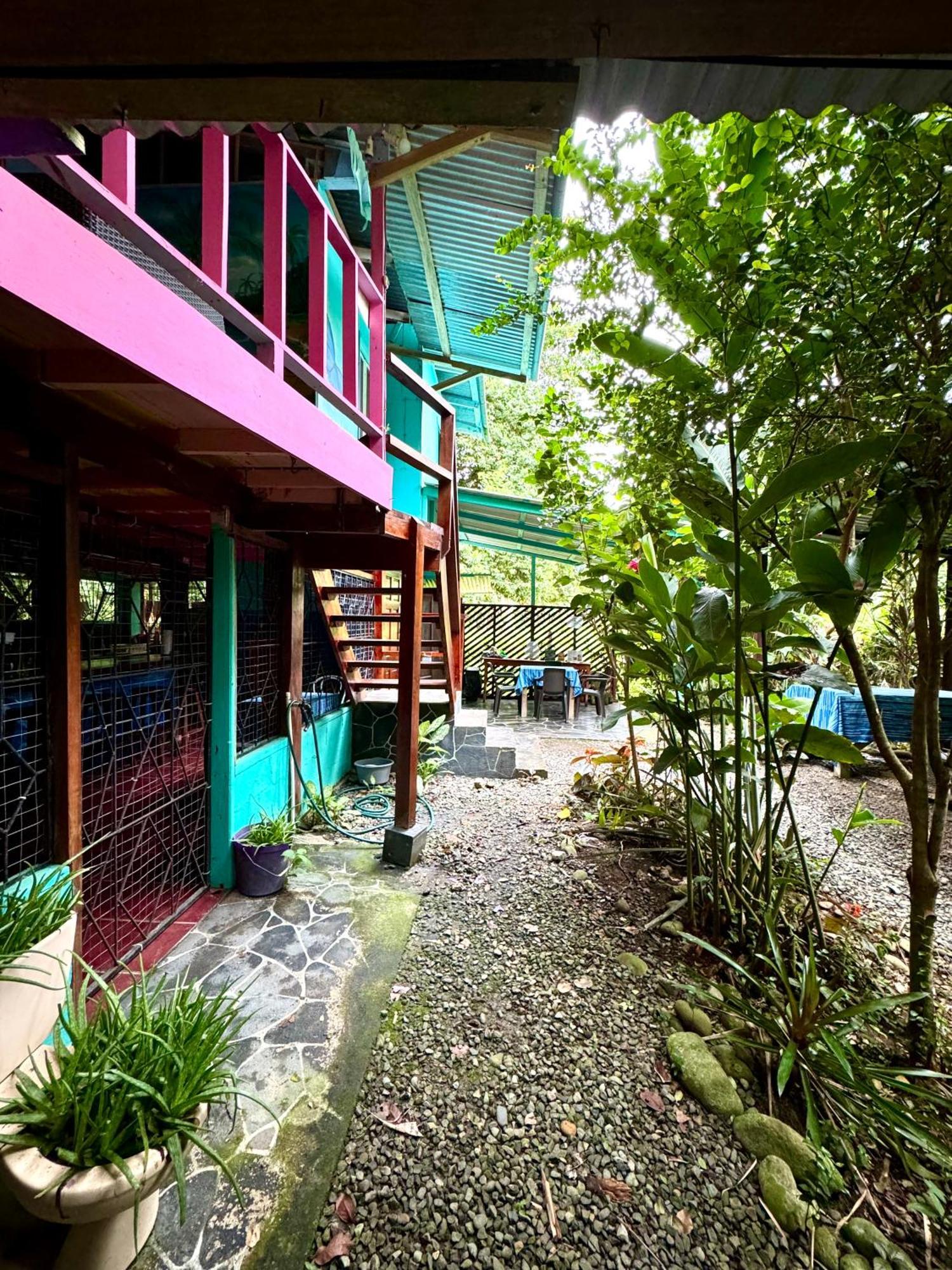 Hidden Jungle Beach House Puerto Viejo de Talamanca Eksteriør billede