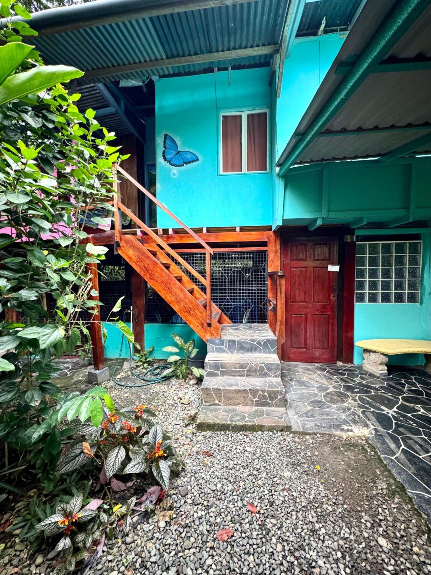 Hidden Jungle Beach House Puerto Viejo de Talamanca Eksteriør billede