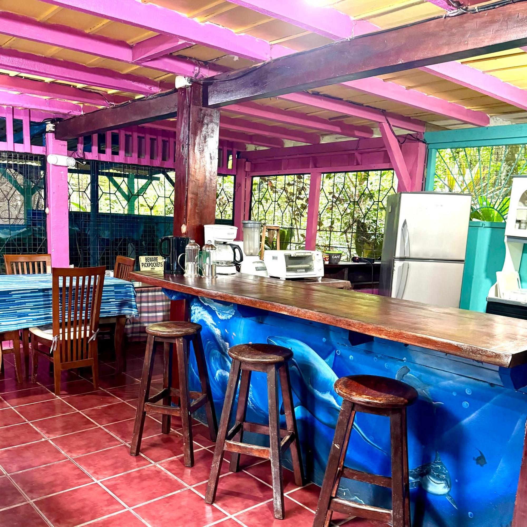 Hidden Jungle Beach House Puerto Viejo de Talamanca Eksteriør billede