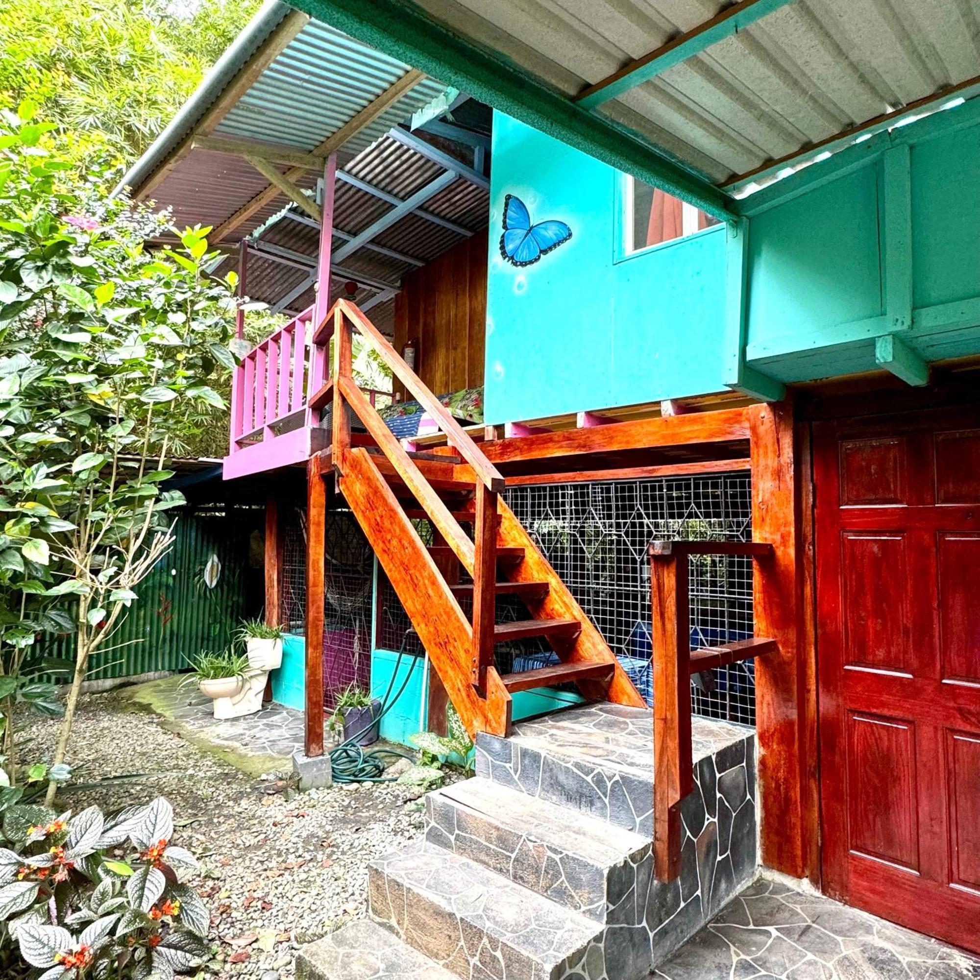 Hidden Jungle Beach House Puerto Viejo de Talamanca Eksteriør billede