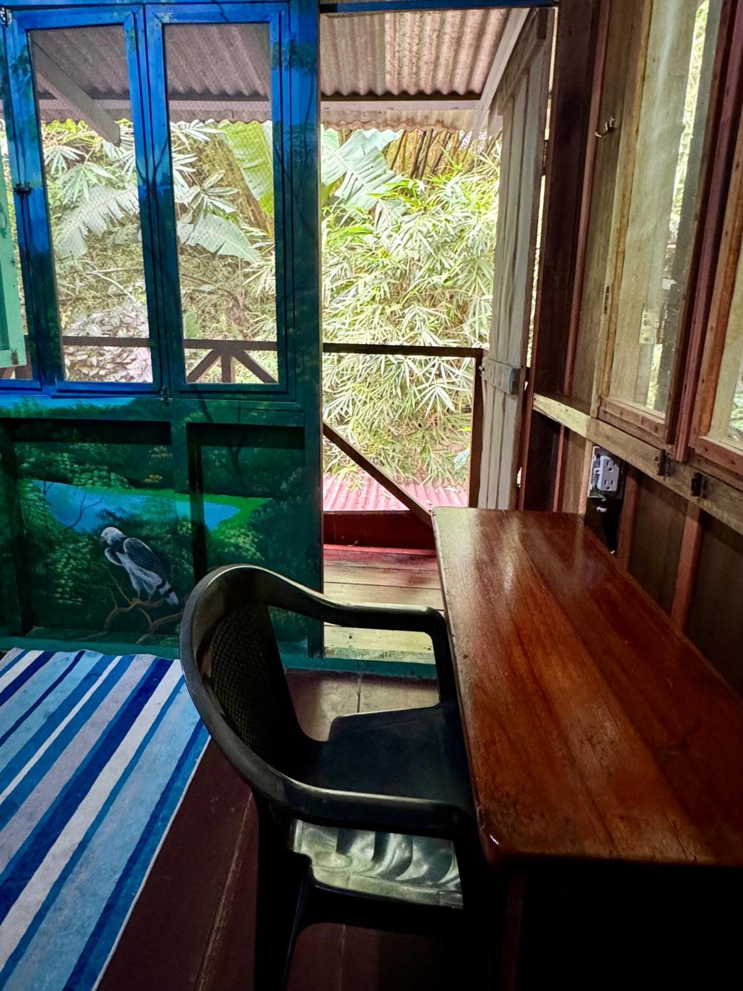 Hidden Jungle Beach House Puerto Viejo de Talamanca Eksteriør billede