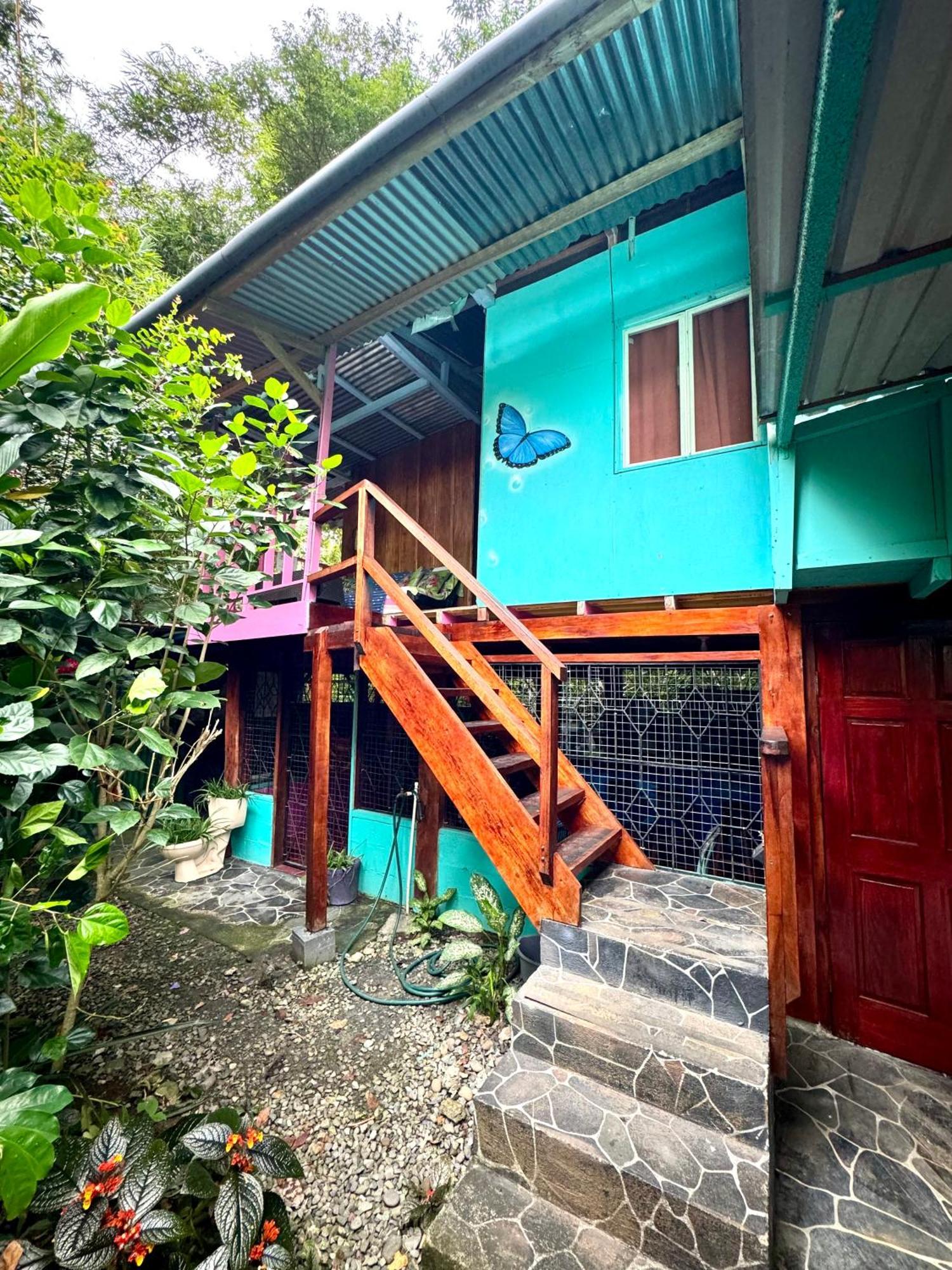 Hidden Jungle Beach House Puerto Viejo de Talamanca Eksteriør billede