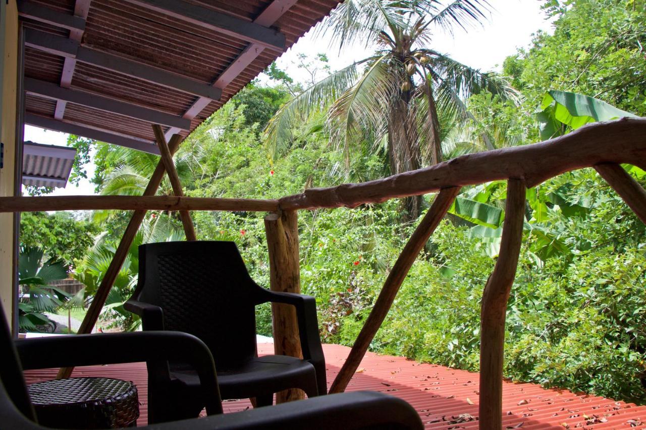 Hidden Jungle Beach House Puerto Viejo de Talamanca Eksteriør billede